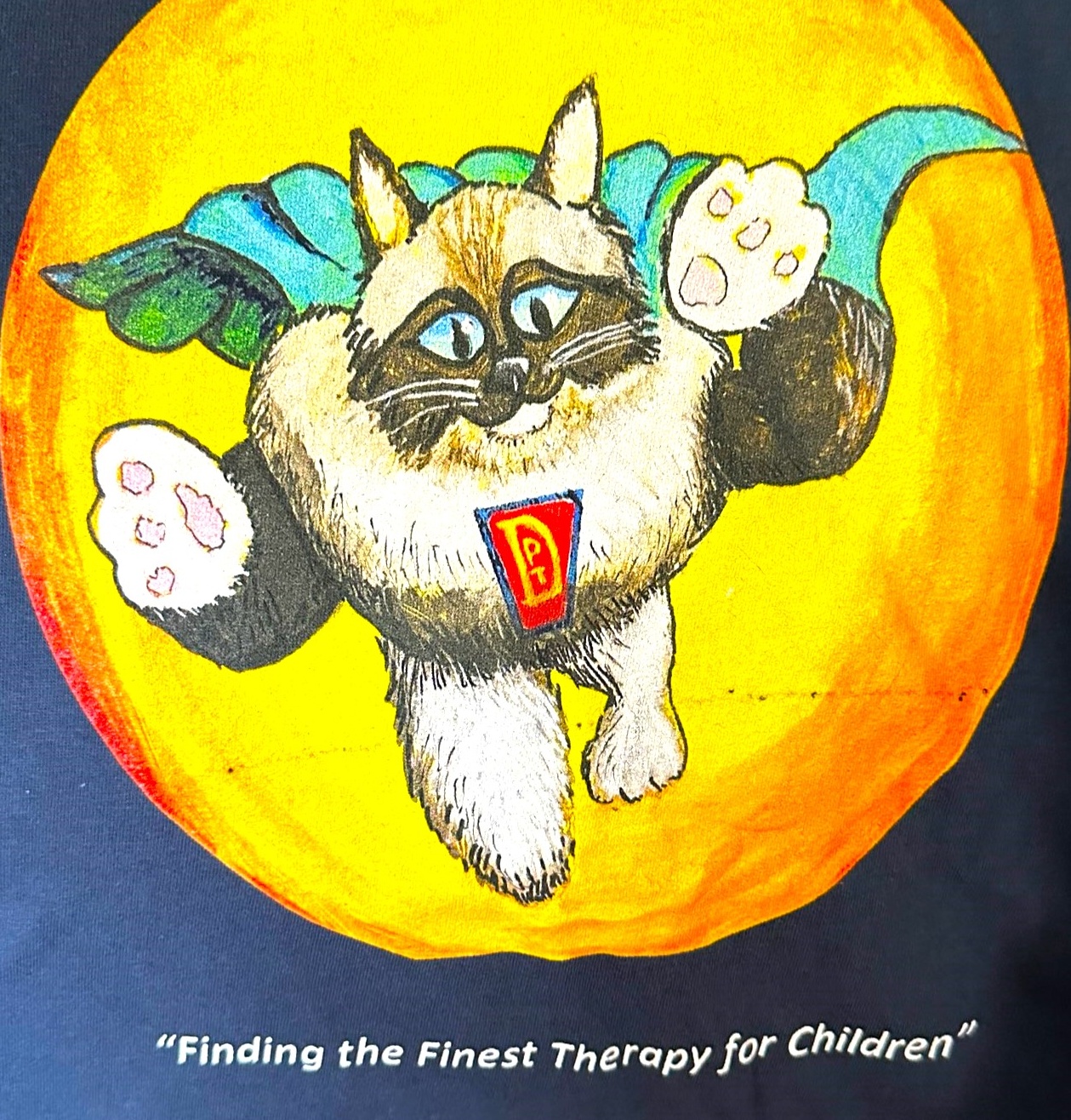 DPT turns 15 years old…